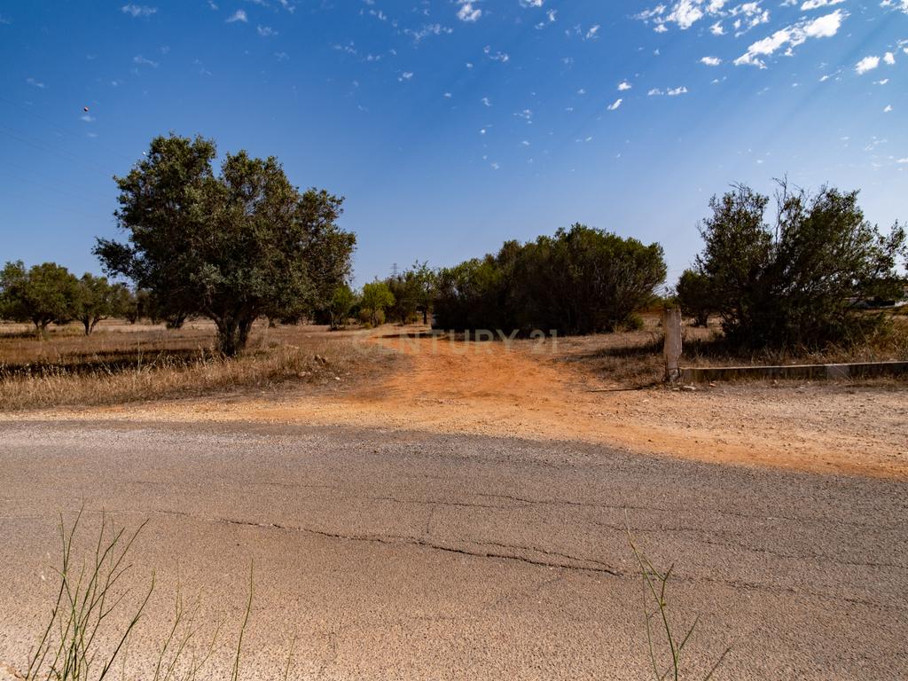 Terreno rustico de 8 040 m2 em Tunes - Image 7