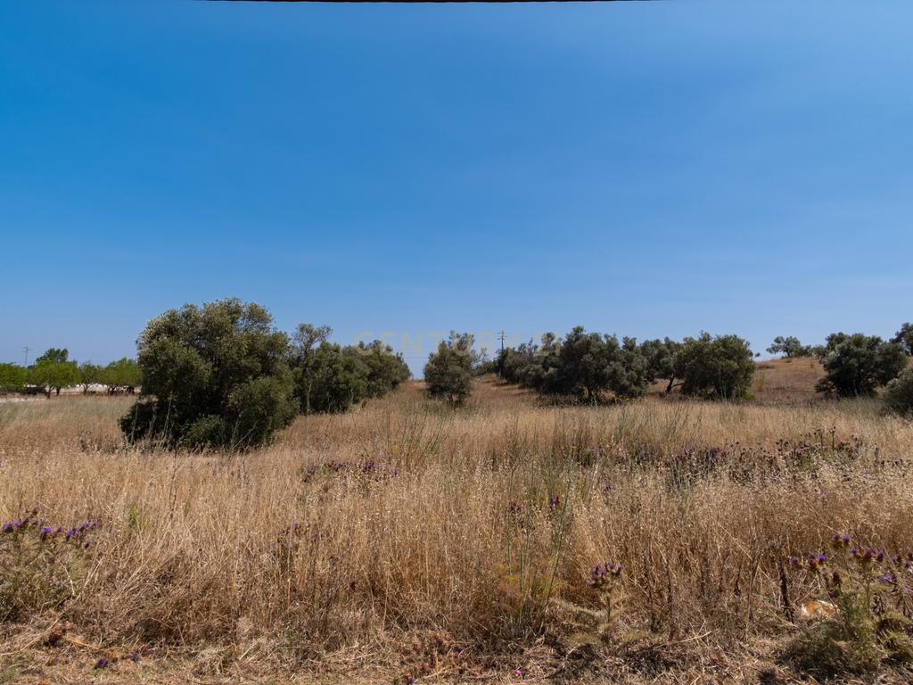 Moradia com terreno rústico em Benafim, para renovar - Image 22