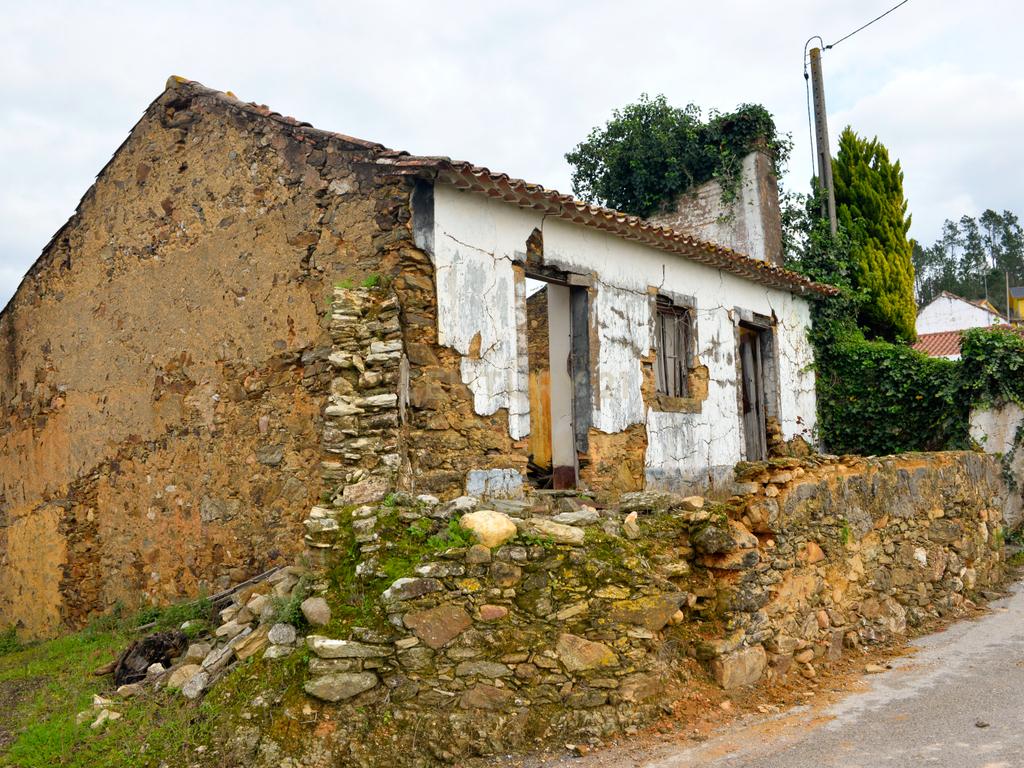 Magníficos terrenos com vista para o Rio Zêzere e a Albufeira de Castelo de Bode - DESCIDA DE PREÇO - Image 12