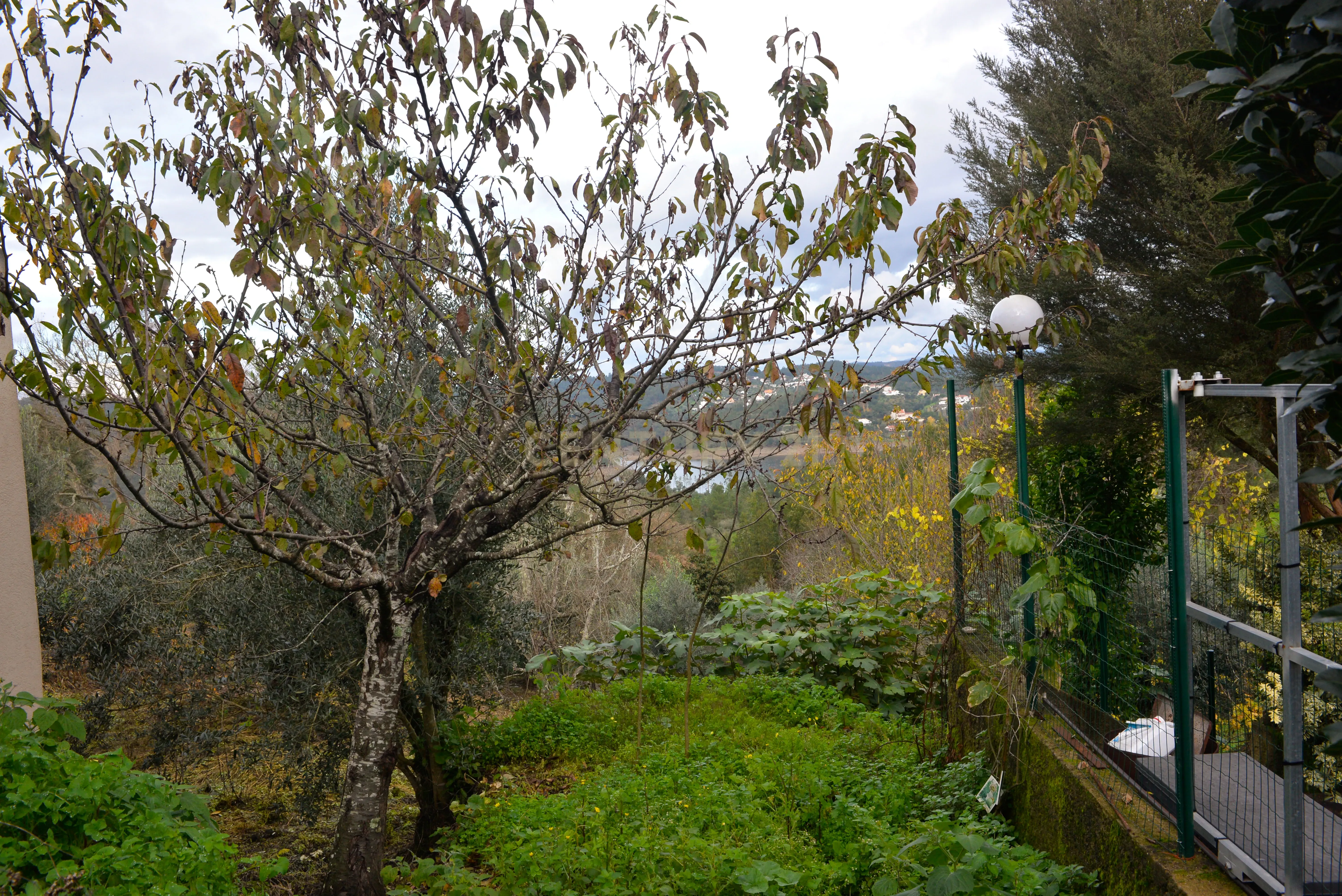 Magníficos terrenos com vista para o Rio Zêzere e a Albufeira de Castelo de Bode - DESCIDA DE PREÇO - Image 21