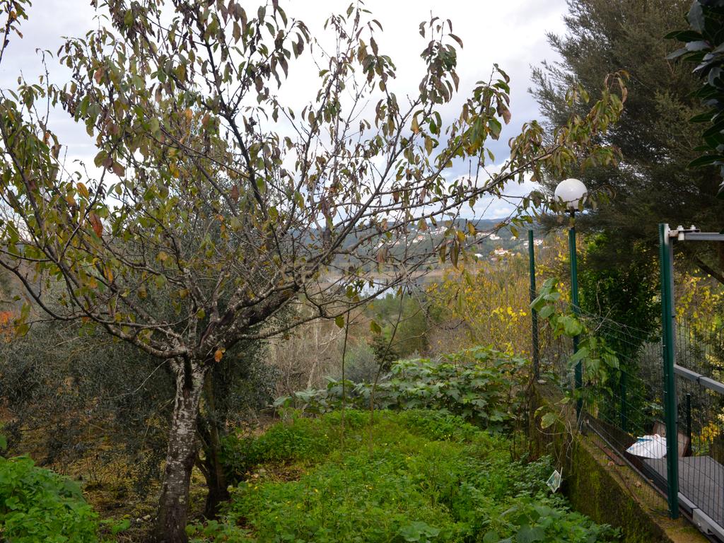 Magníficos terrenos com vista para o Rio Zêzere e a Albufeira de Castelo de Bode - DESCIDA DE PREÇO - Image 21