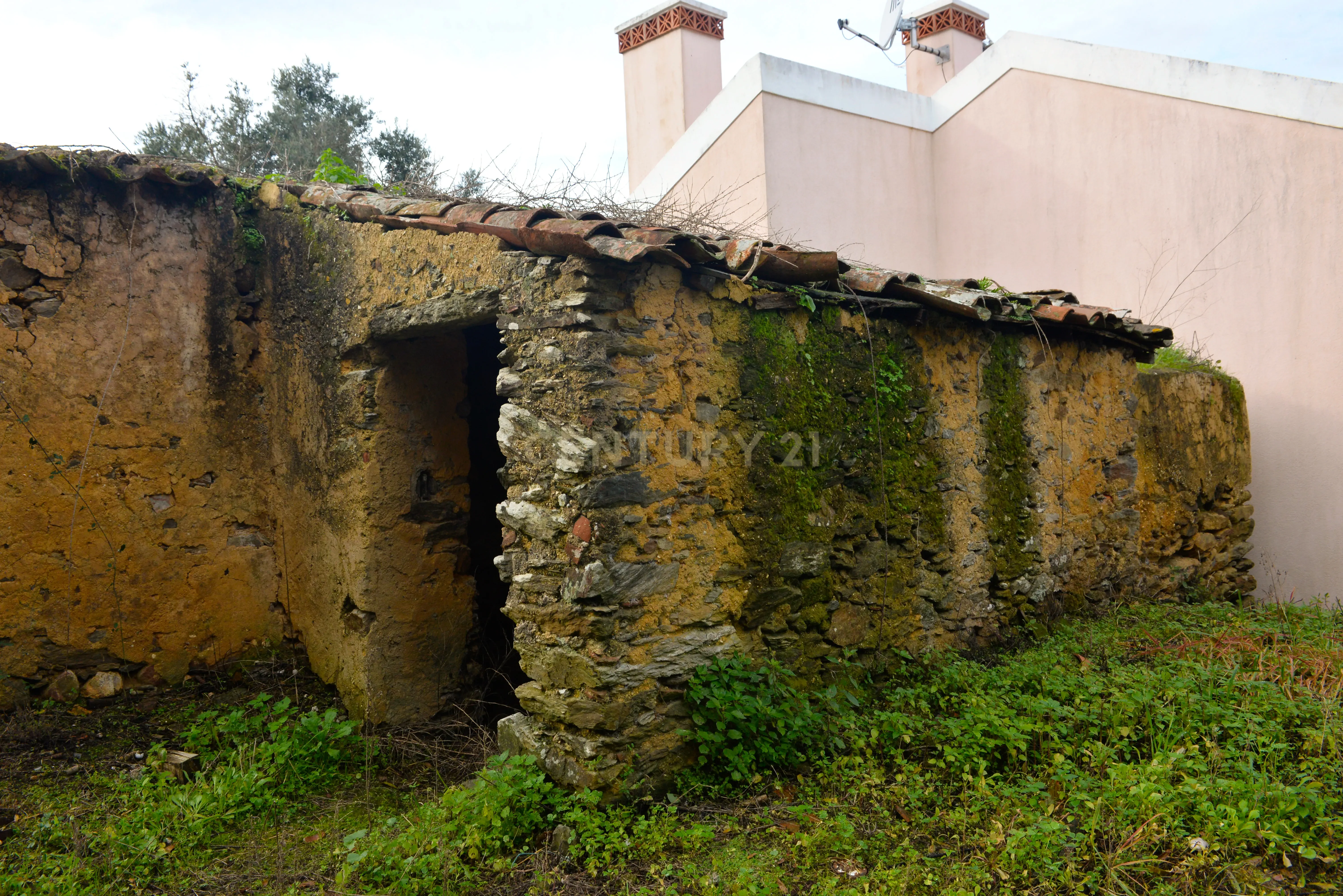 Magníficos terrenos com vista para o Rio Zêzere e a Albufeira de Castelo de Bode - DESCIDA DE PREÇO - Image 17