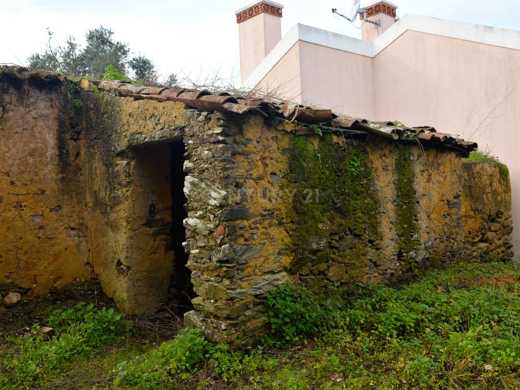 Magníficos terrenos com vista para o Rio Zêzere e a Albufeira de Castelo de Bode - DESCIDA DE PREÇO - Image 17