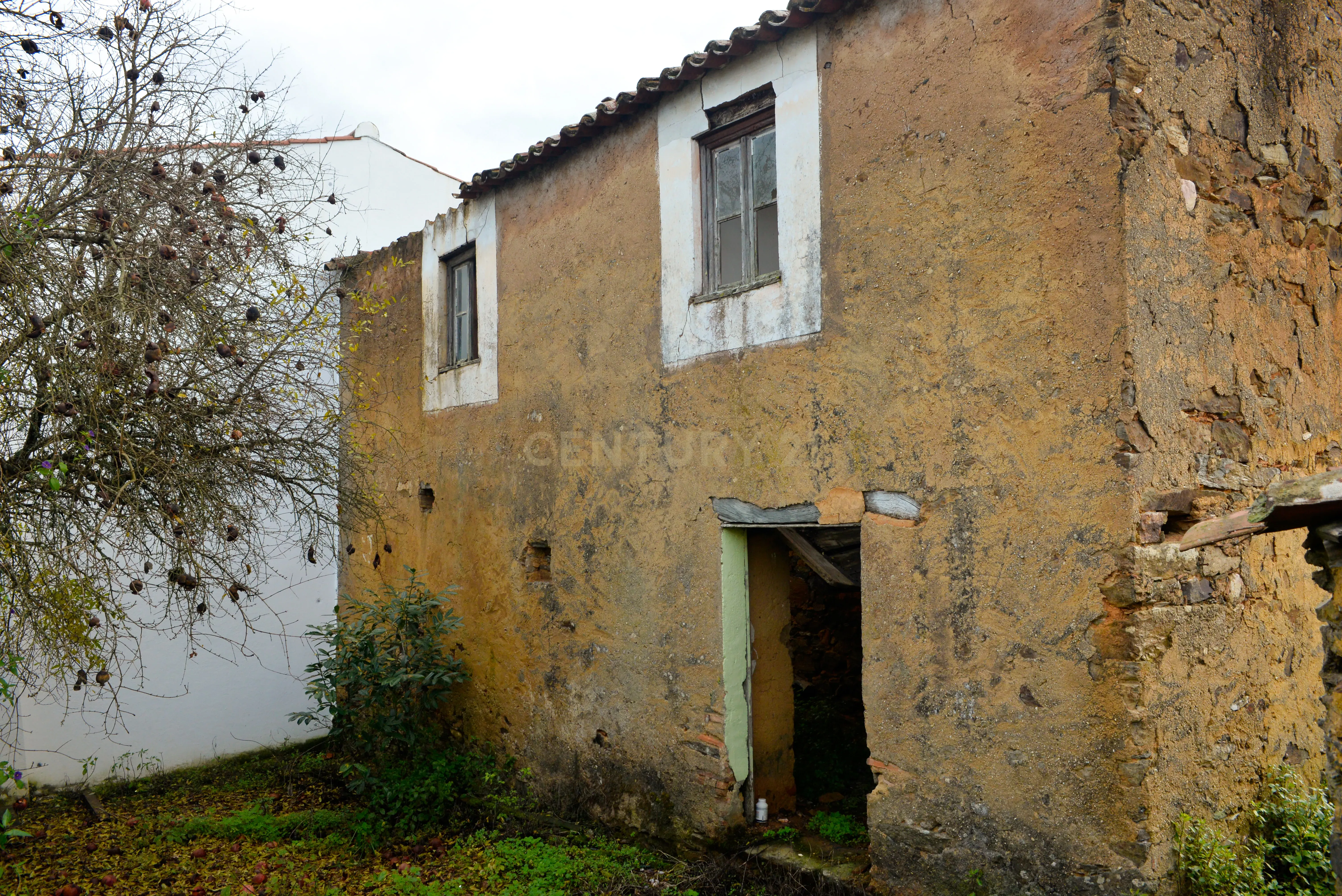 Magníficos terrenos com vista para o Rio Zêzere e a Albufeira de Castelo de Bode - DESCIDA DE PREÇO - Image 5