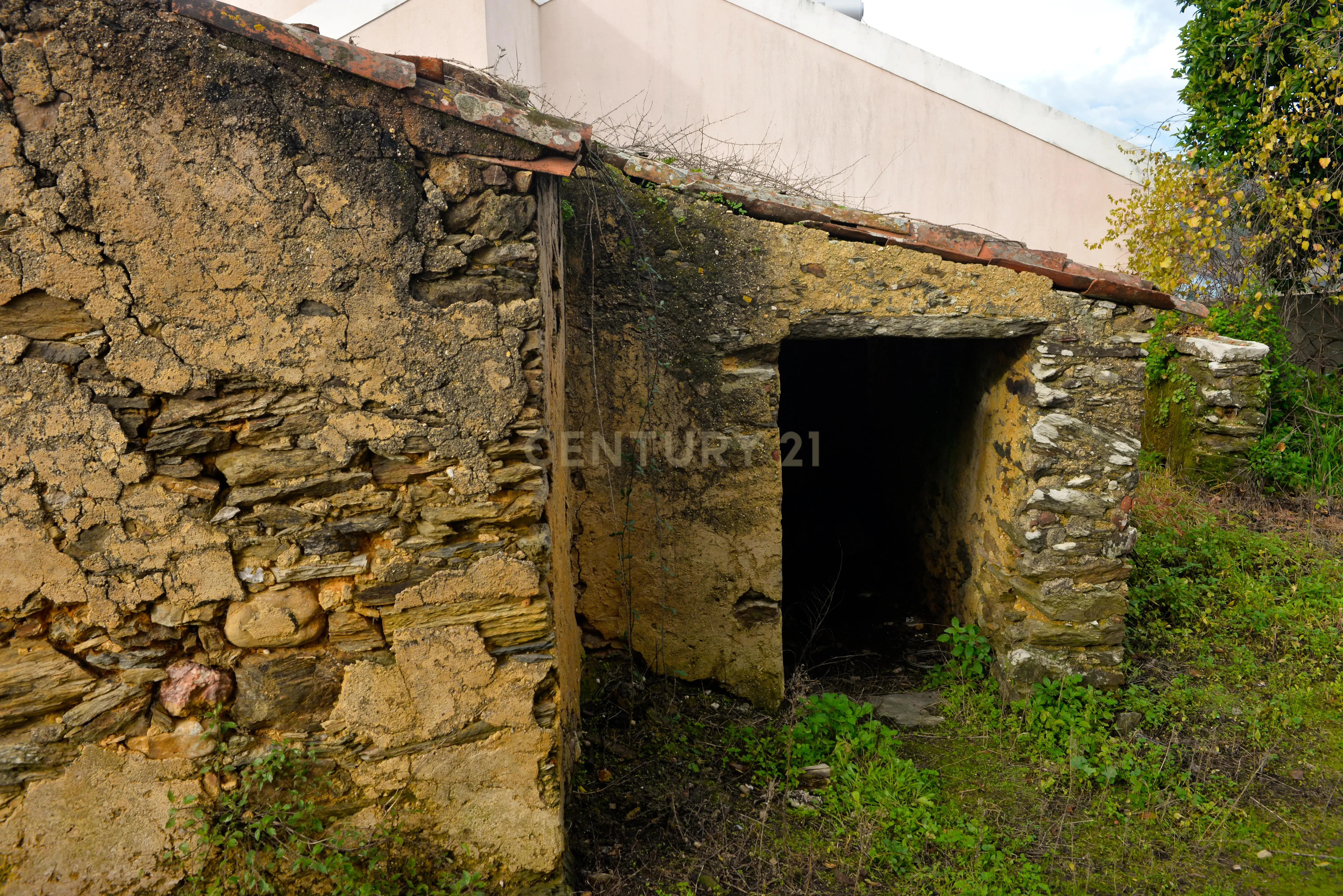 Magníficos terrenos com vista para o Rio Zêzere e a Albufeira de Castelo de Bode - DESCIDA DE PREÇO - Image 18