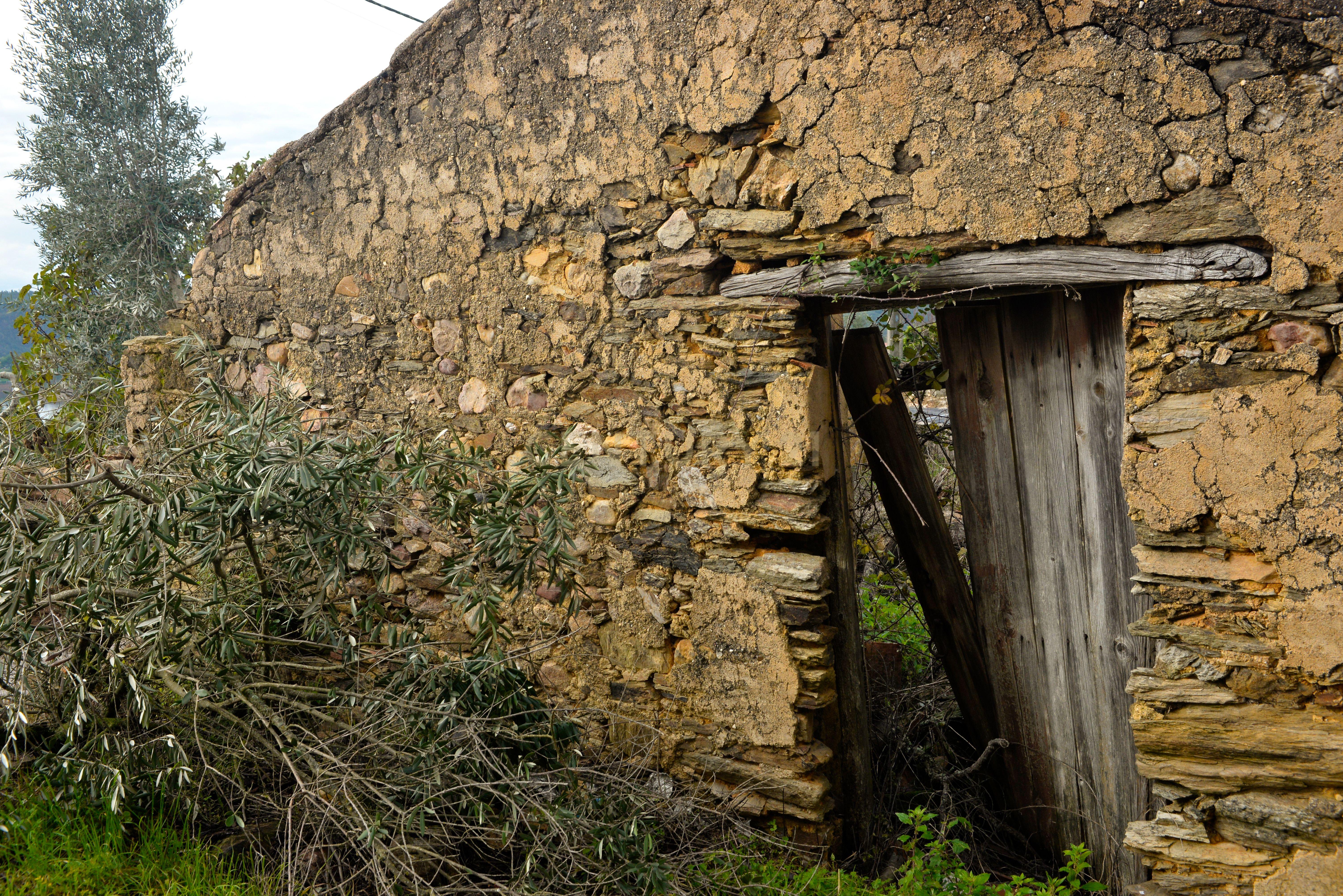 Magníficos terrenos com vista para o Rio Zêzere e a Albufeira de Castelo de Bode - DESCIDA DE PREÇO - Image 20