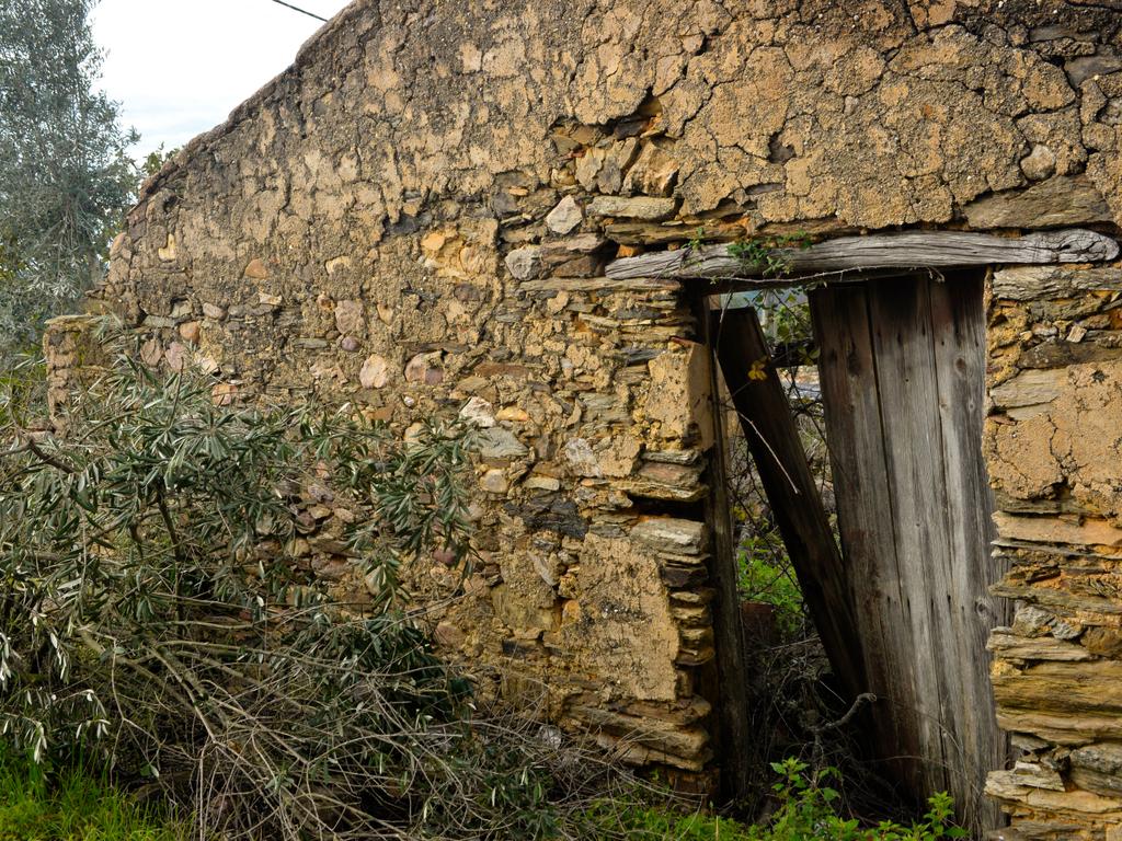 Magníficos terrenos com vista para o Rio Zêzere e a Albufeira de Castelo de Bode - DESCIDA DE PREÇO - Image 20