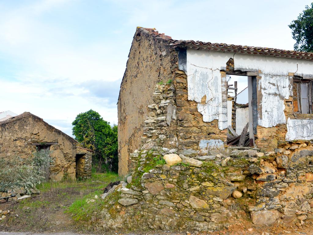 Magníficos terrenos com vista para o Rio Zêzere e a Albufeira de Castelo de Bode - DESCIDA DE PREÇO - Image 8