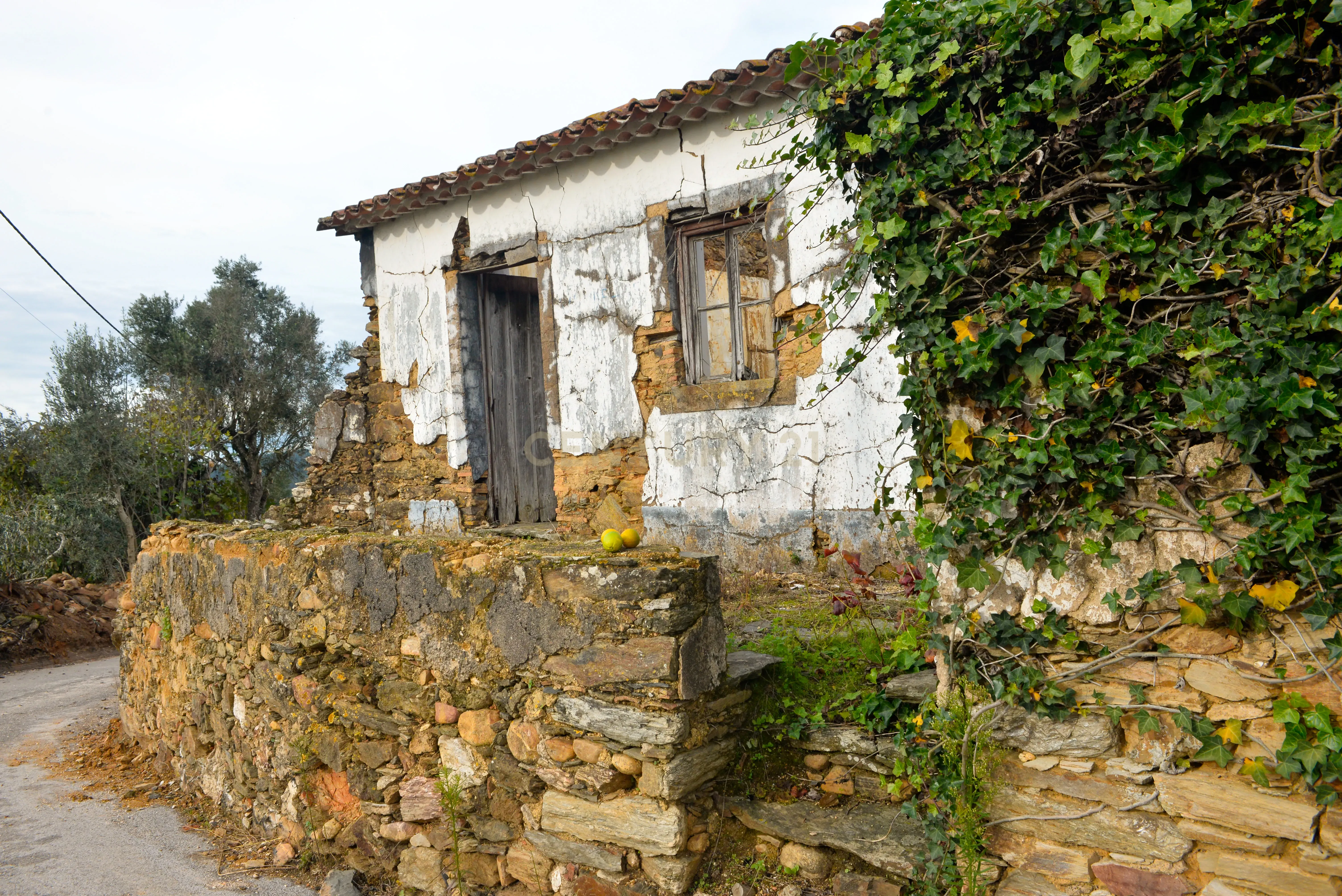 Magníficos terrenos com vista para o Rio Zêzere e a Albufeira de Castelo de Bode - DESCIDA DE PREÇO - Image 13