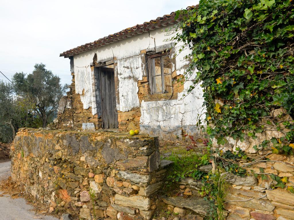 Magníficos terrenos com vista para o Rio Zêzere e a Albufeira de Castelo de Bode - DESCIDA DE PREÇO - Image 13