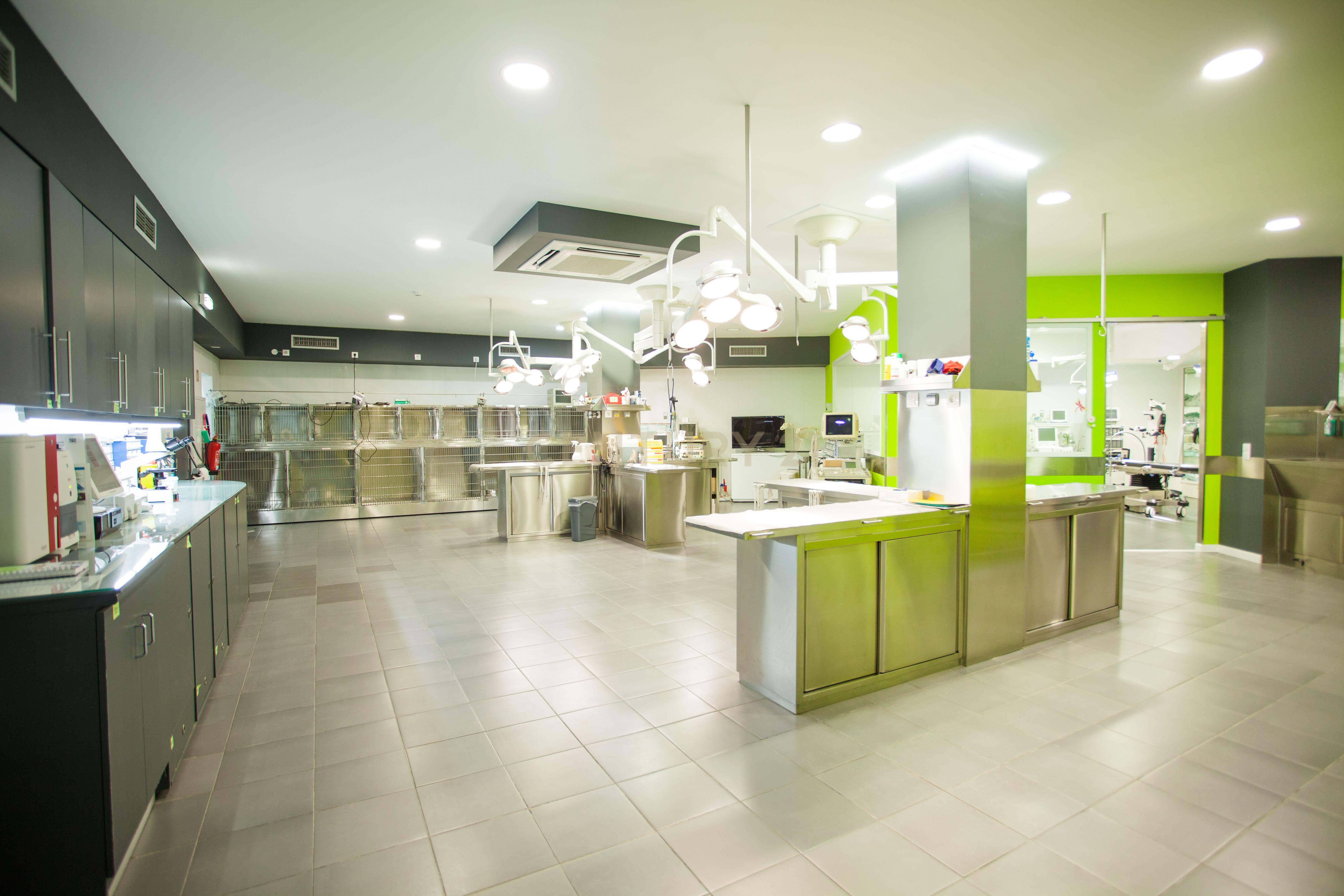 Negócio – Hospital Veterinário no centro de Santarém - Image 5