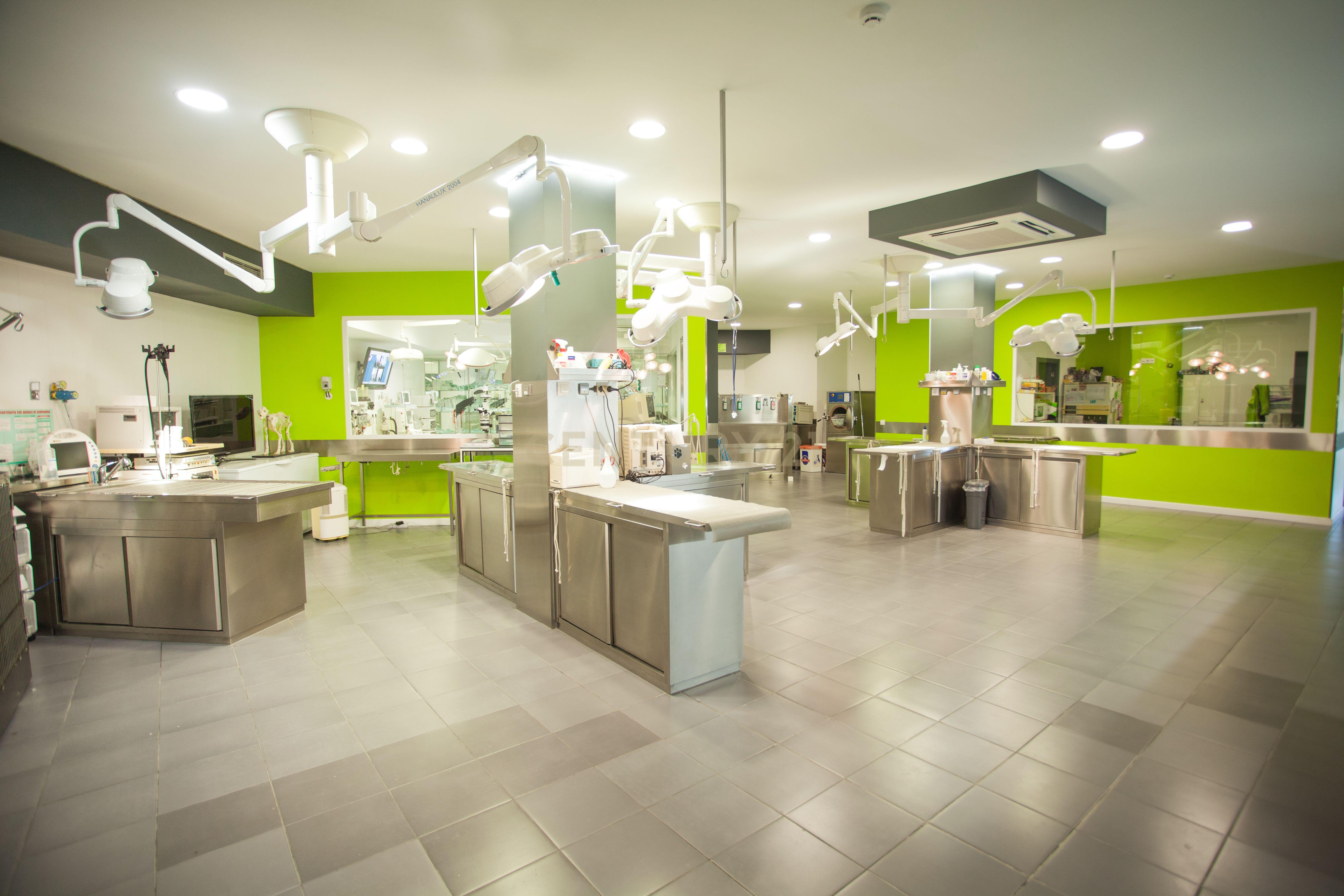 Negócio – Hospital Veterinário no centro de Santarém - Image 3