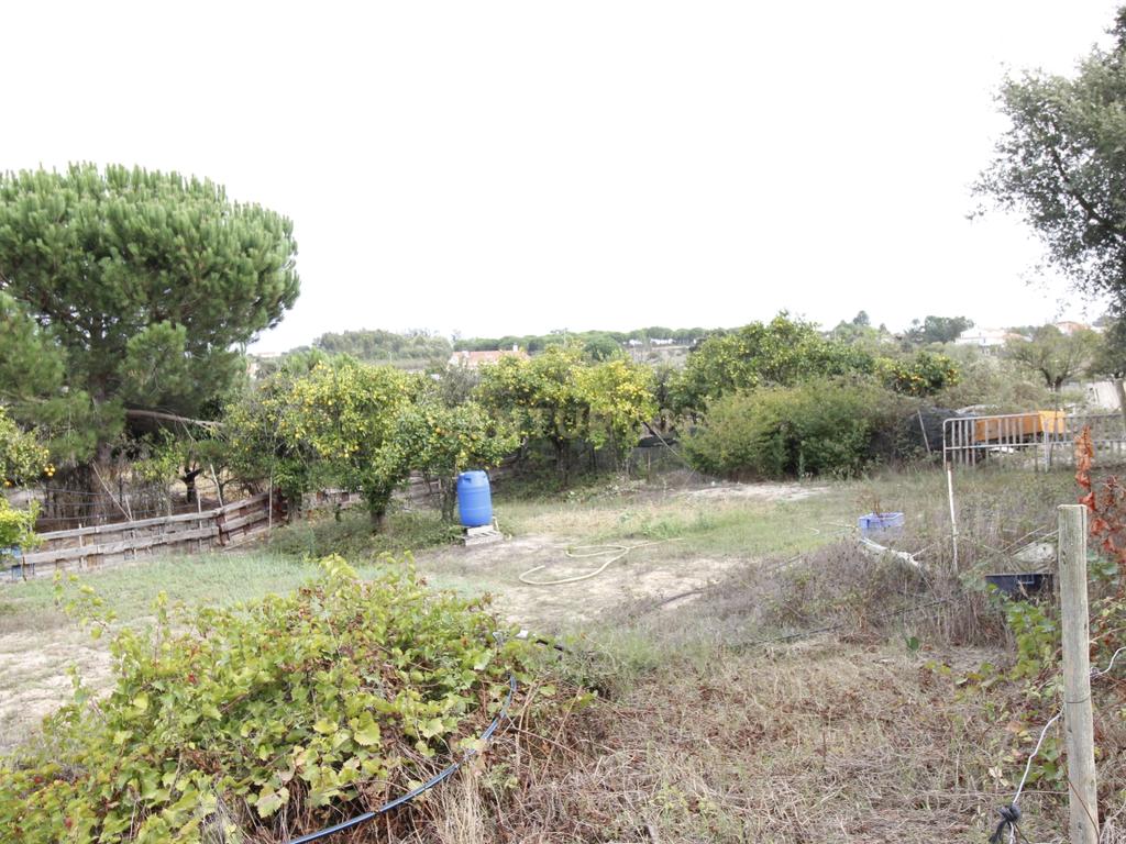 Quinta em Afeiteira - Vendas Novas - Image 19