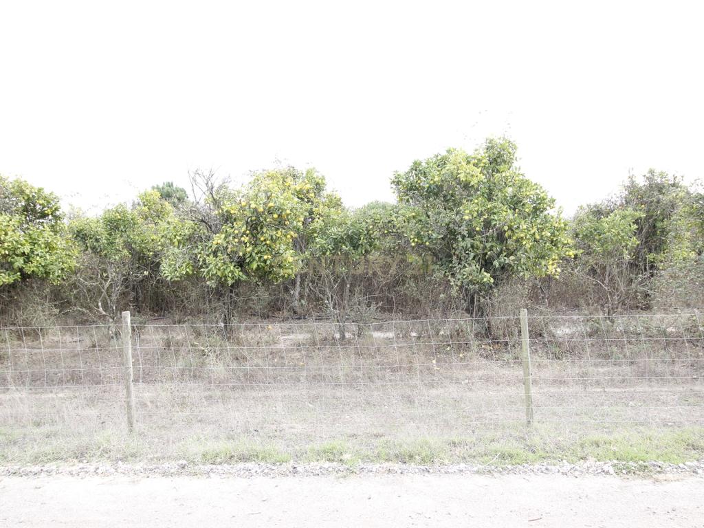 Quinta em Afeiteira - Vendas Novas - Image 15