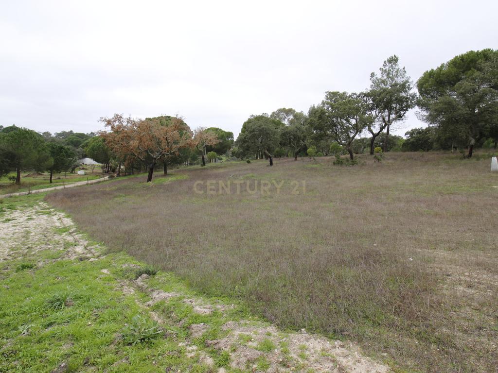 Quinta em Mora - Alentejo - Image 45