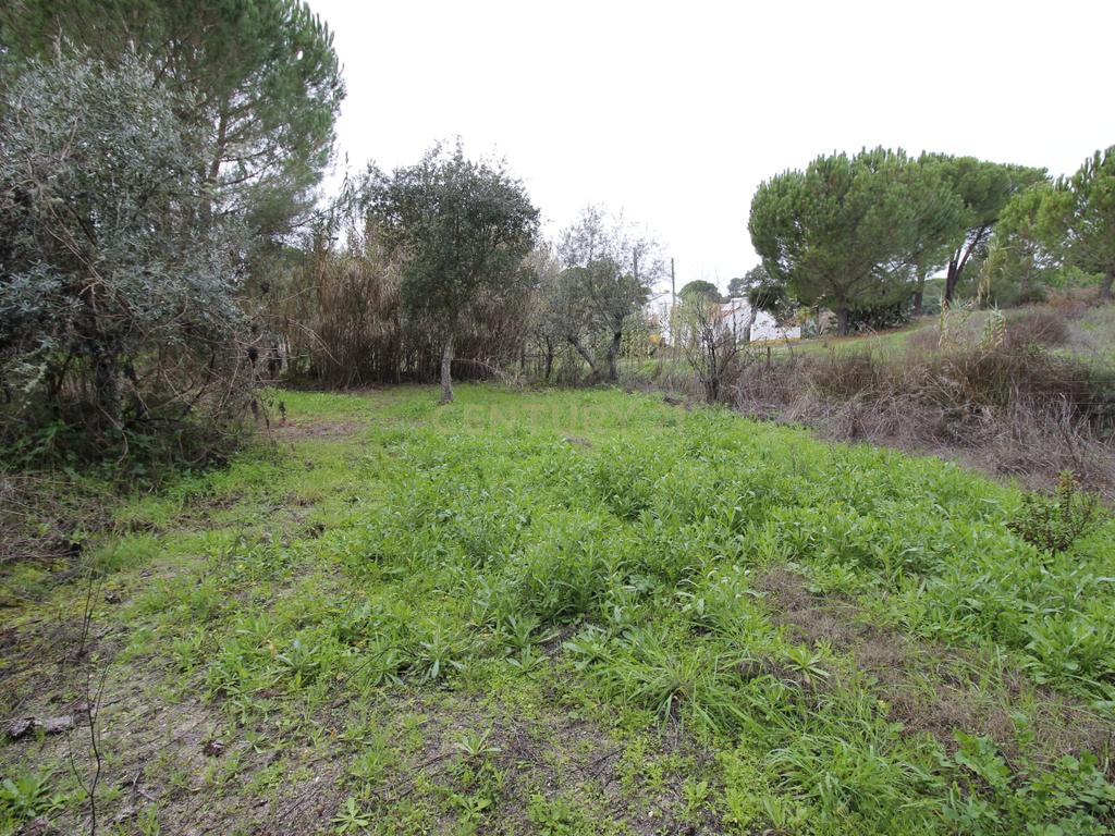 Quinta em Mora - Alentejo - Image 40