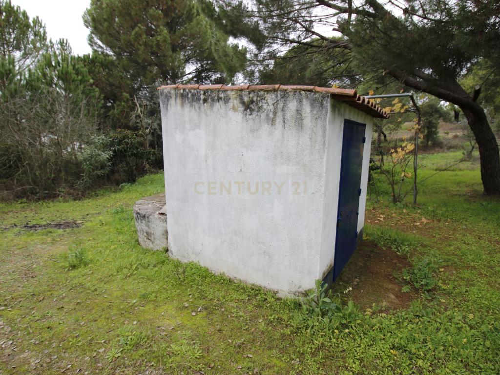 Quinta em Mora - Alentejo - Image 29