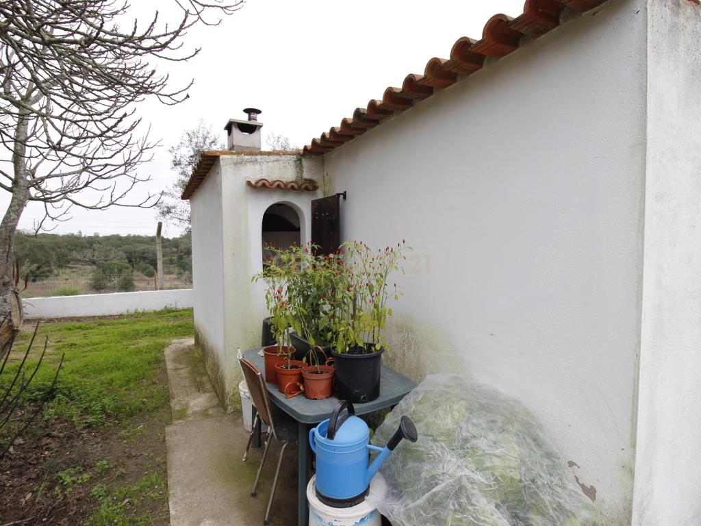 Quinta em Mora - Alentejo - Image 11