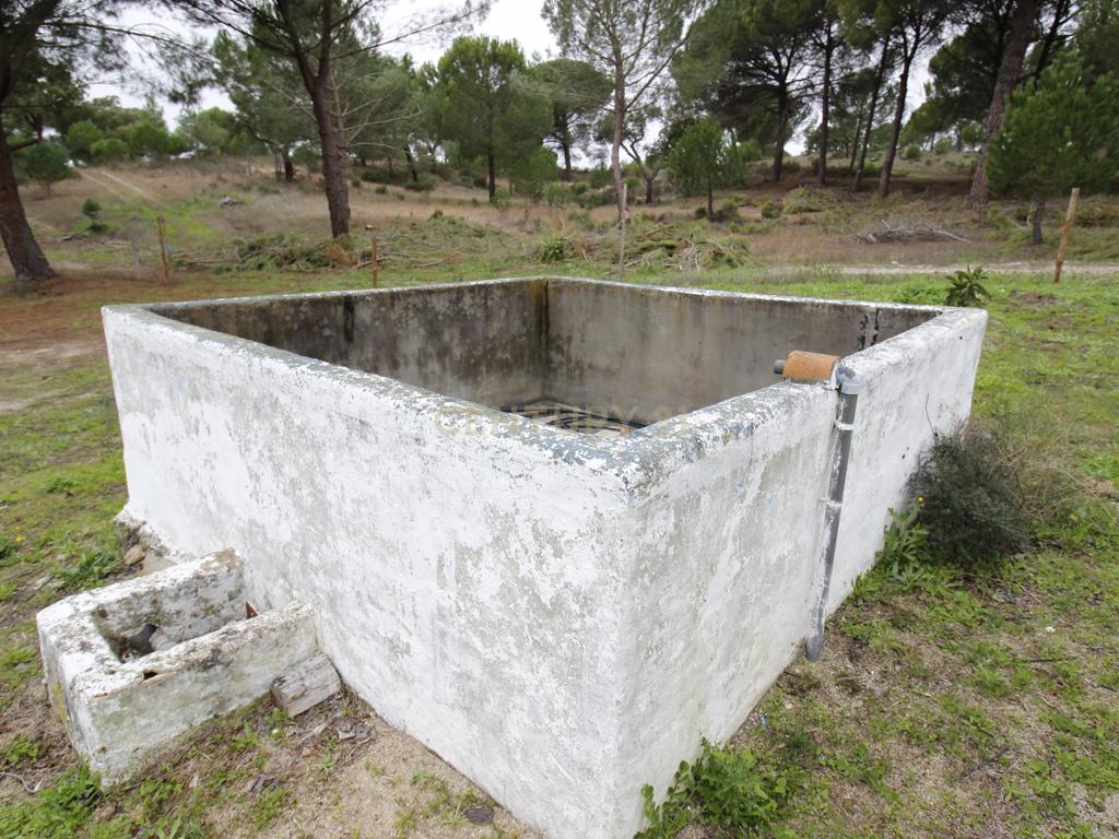 Quinta em Mora - Alentejo - Image 27