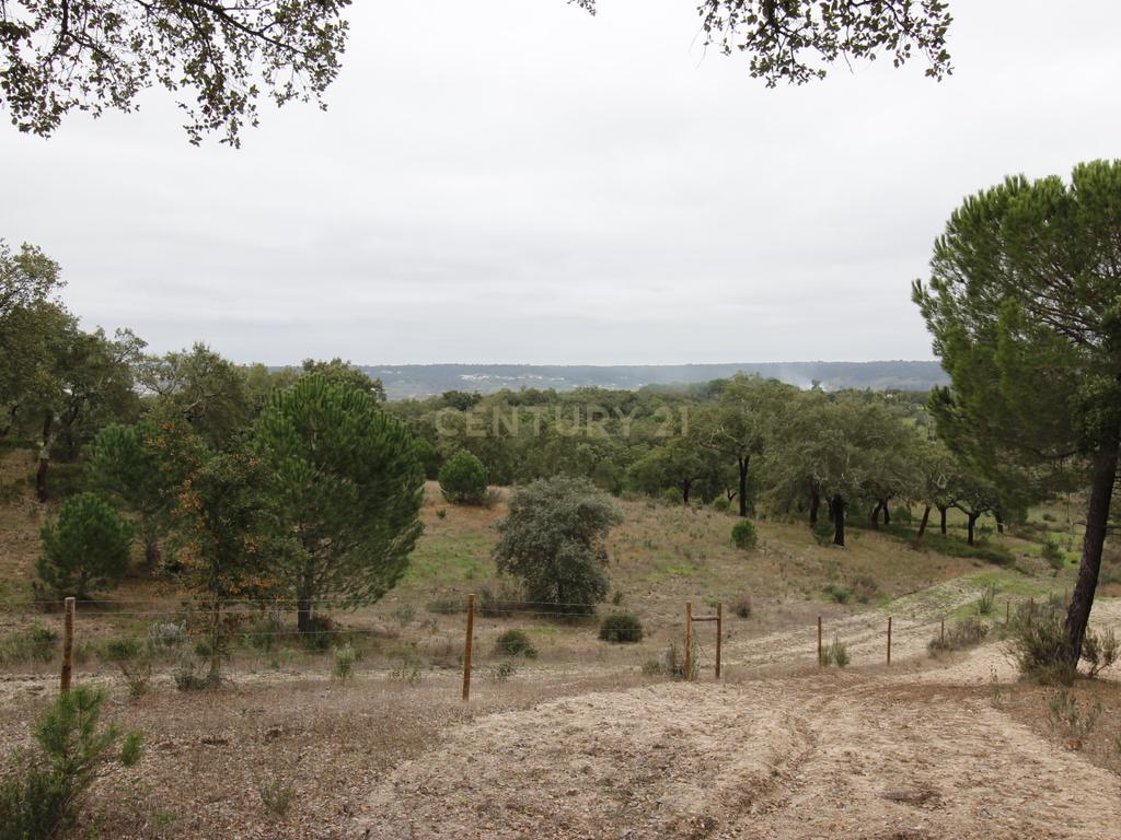 Quinta em Mora - Alentejo - Image 33