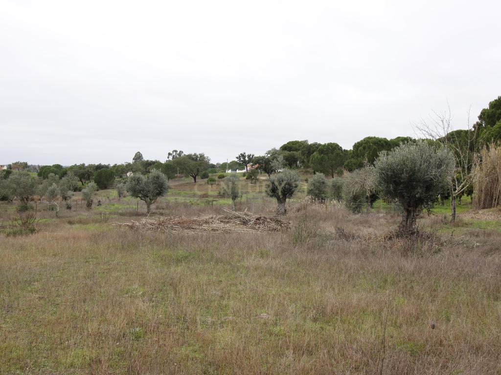 Quinta em Mora - Alentejo - Image 34