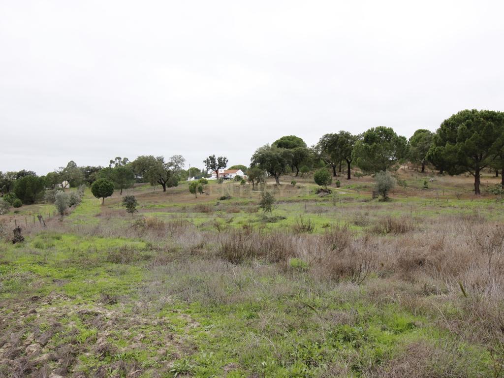Quinta em Mora - Alentejo - Image 35