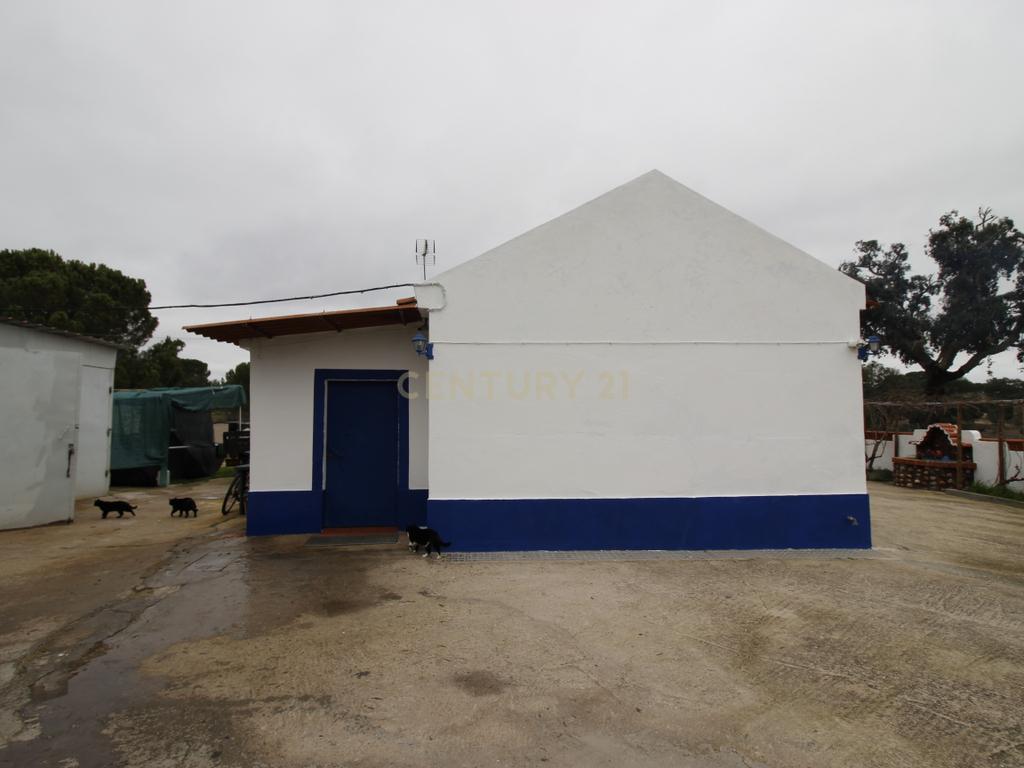 Quinta em Mora - Alentejo - Image 10