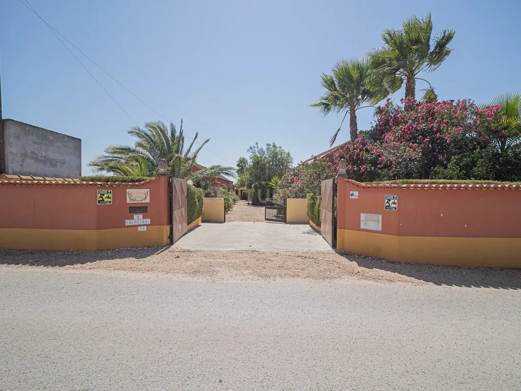 Quintinha com Casa Isolada em Marinhais - Image 56