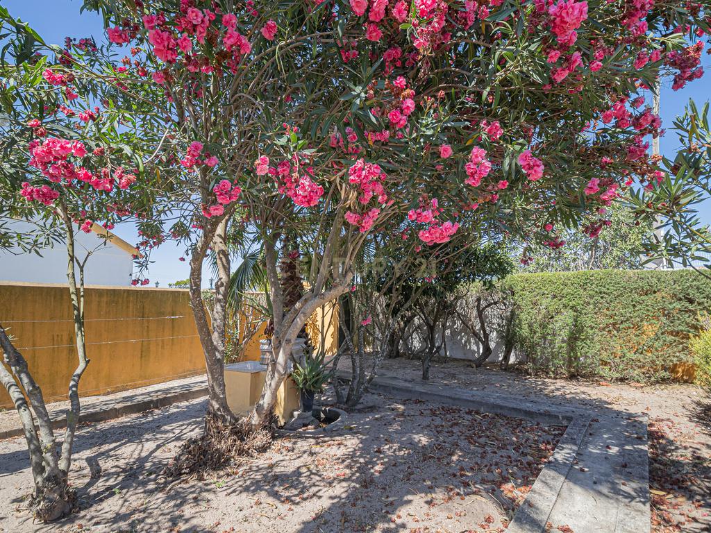 Quintinha com Casa Isolada em Marinhais - Image 47