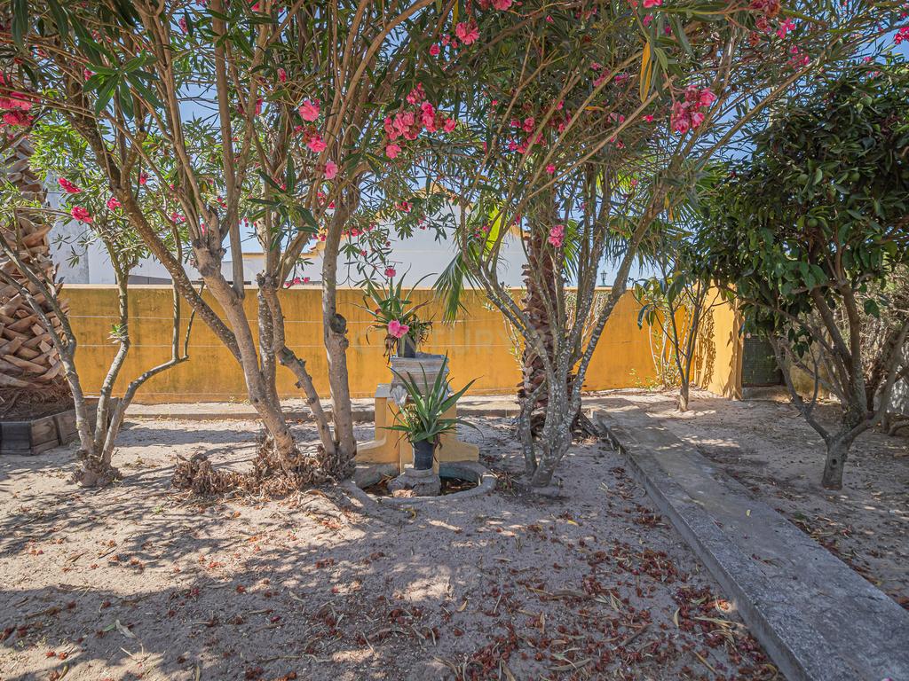 Quintinha com Casa Isolada em Marinhais - Image 46