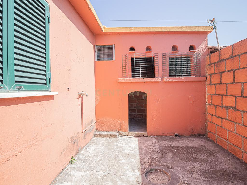 Quintinha com Casa Isolada em Marinhais - Image 53