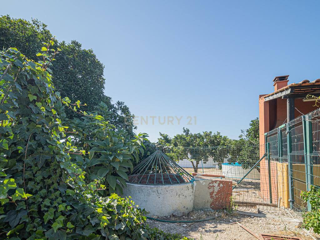 Quintinha com Casa Isolada em Marinhais - Image 57