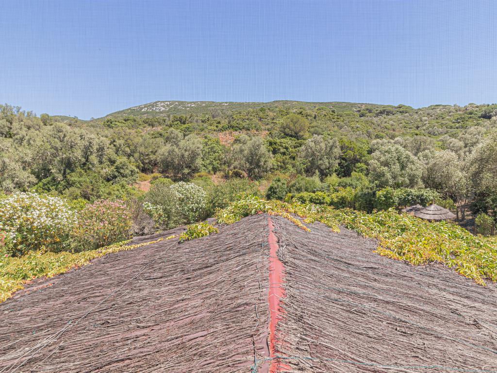 Moradia T2 em deslumbrante propriedade na Arrábida (Casais da Serra) - Image 38