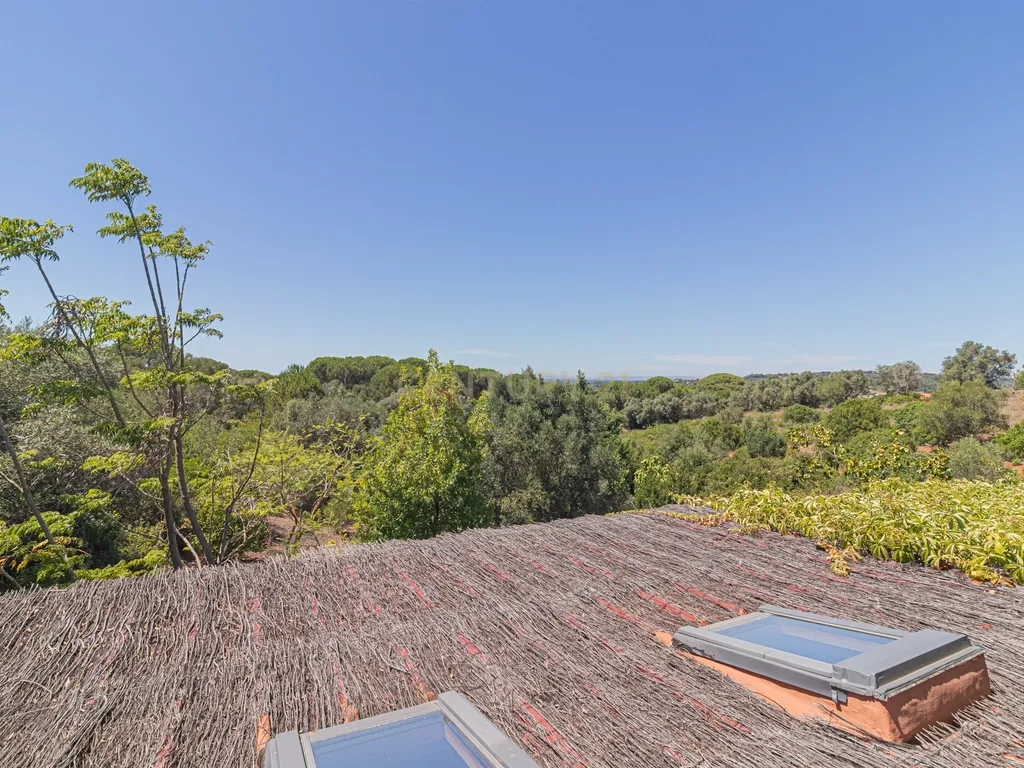 Moradia T2 em deslumbrante propriedade na Arrábida (Casais da Serra) - Image 43