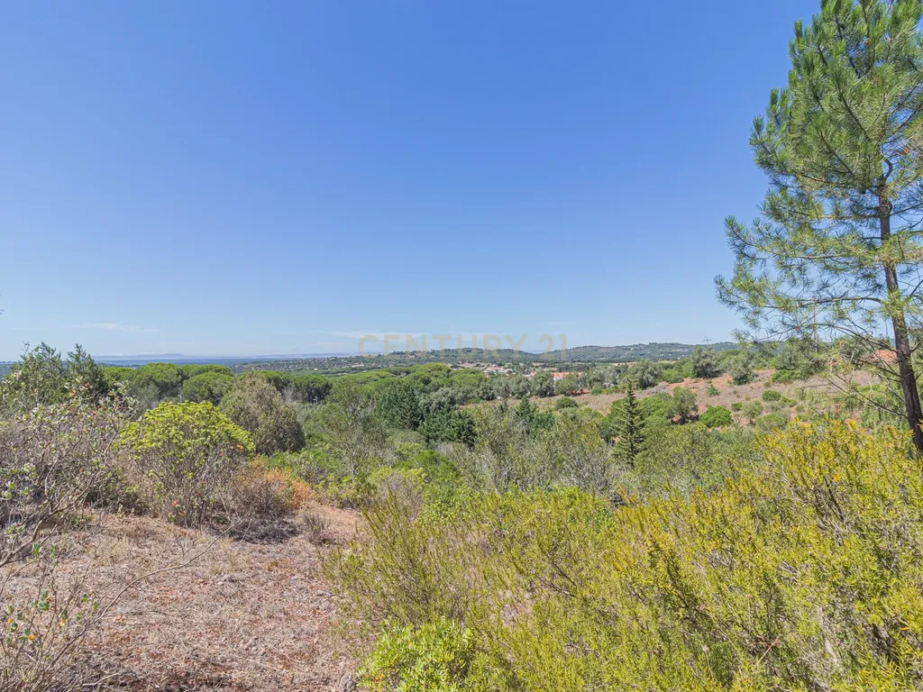 Moradia T2 em deslumbrante propriedade na Arrábida (Casais da Serra) - Image 76