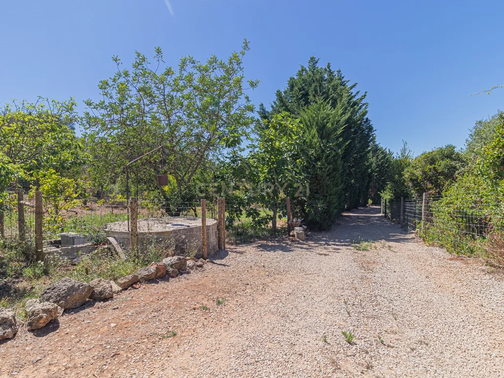 Moradia T2 em deslumbrante propriedade na Arrábida (Casais da Serra) - Image 79