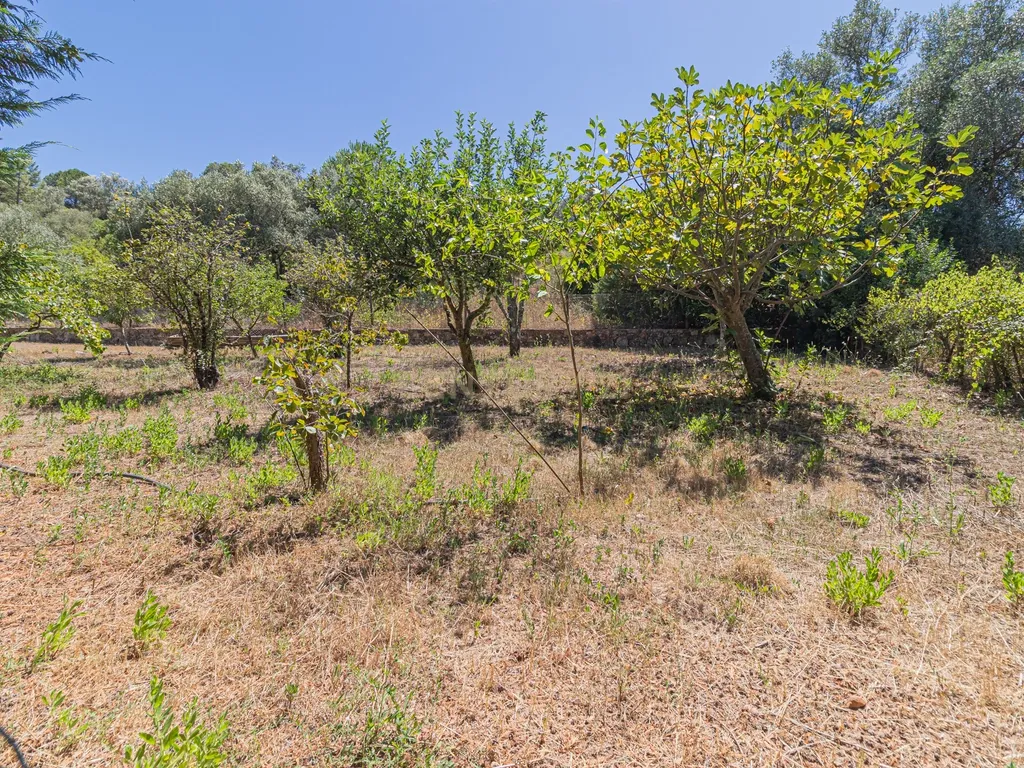 Moradia T2 em deslumbrante propriedade na Arrábida (Casais da Serra) - Image 81