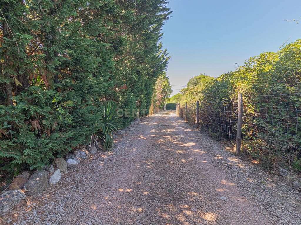 Moradia T2 em deslumbrante propriedade na Arrábida (Casais da Serra) - Image 82