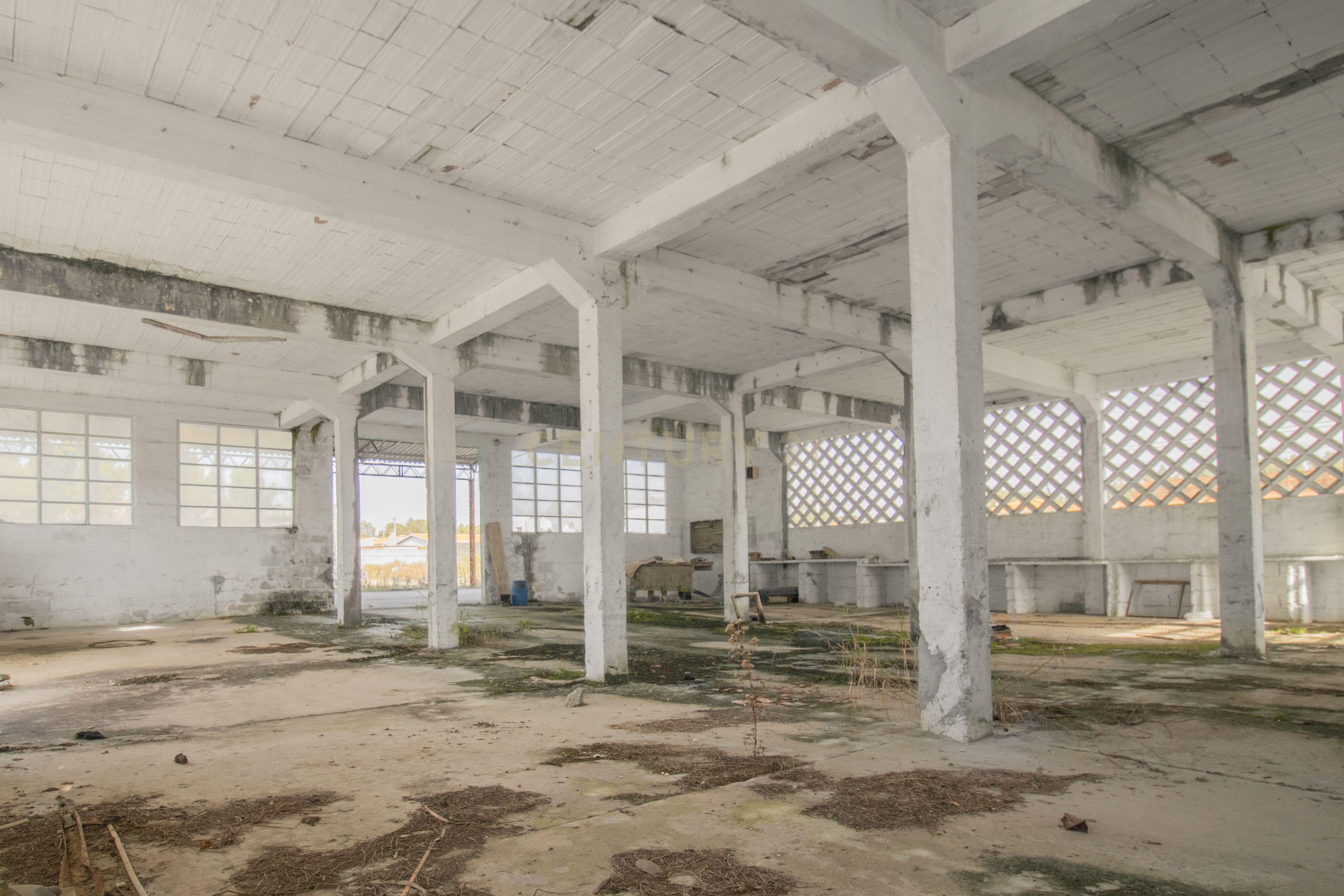 Pavilhão Industrial - Image 4