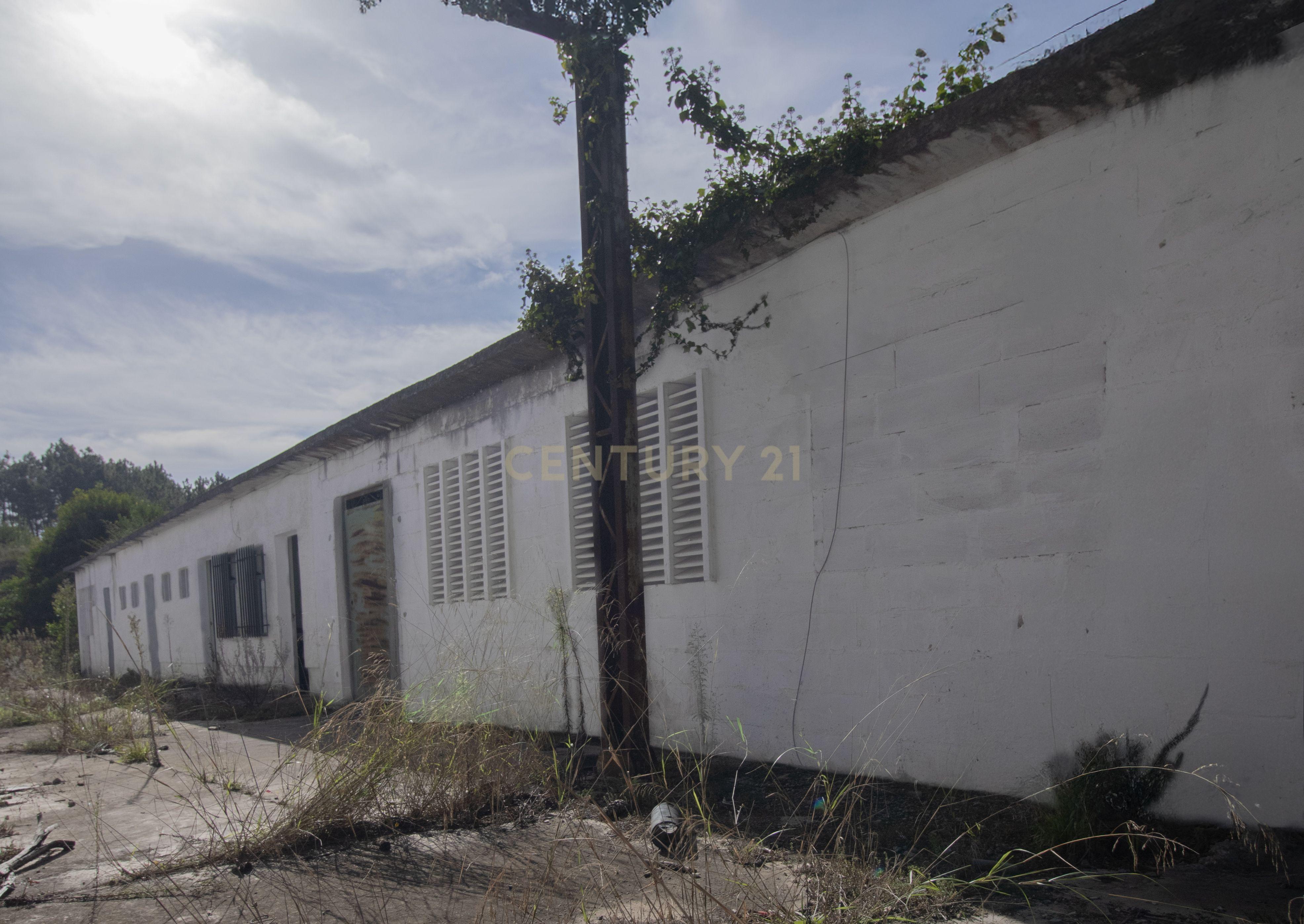 Pavilhão Industrial - Image 2
