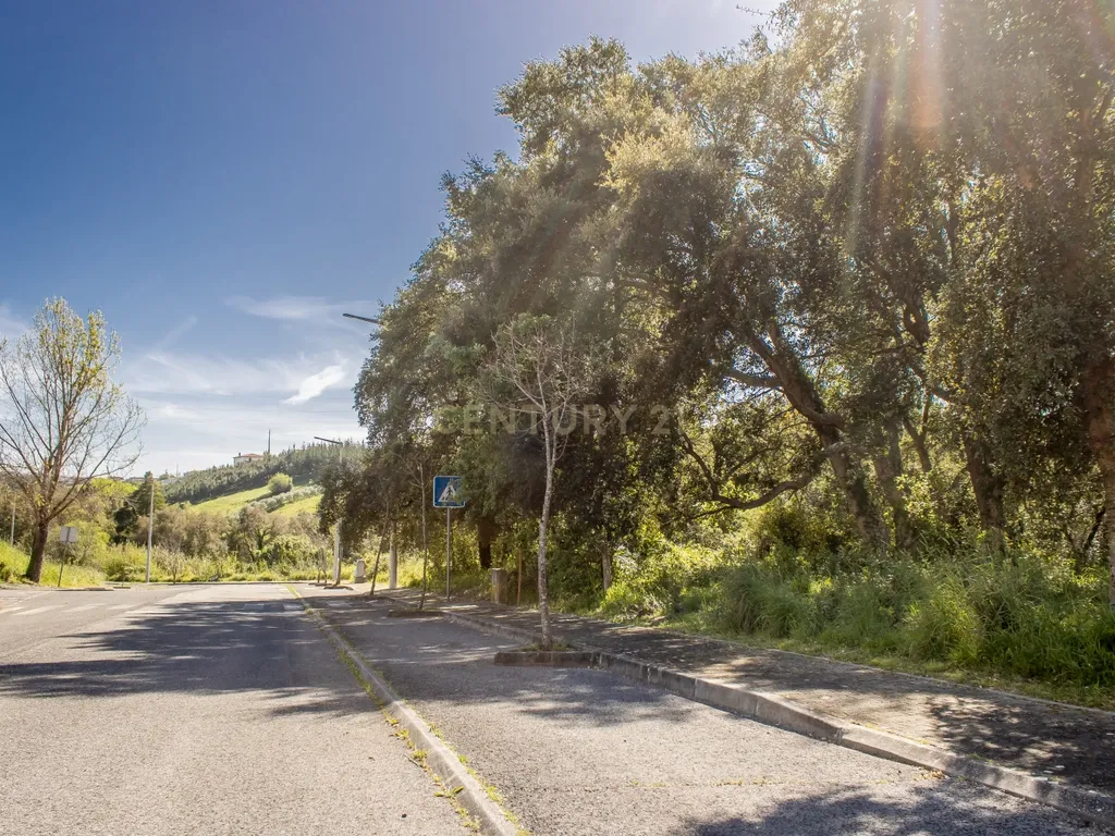 Lote terreno para Construção | Barreira - Image 9