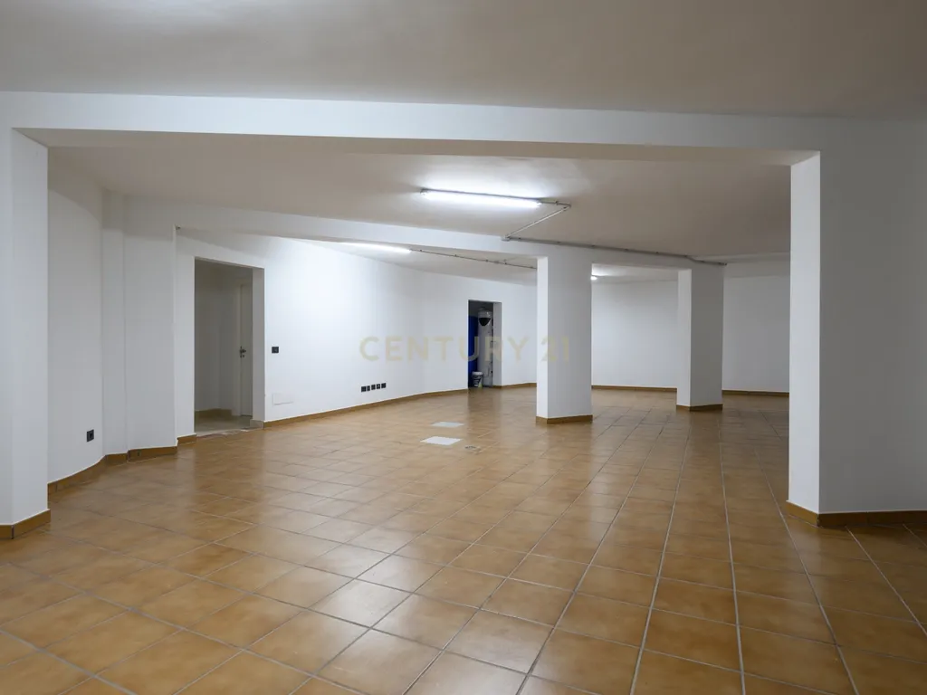 - Image 41