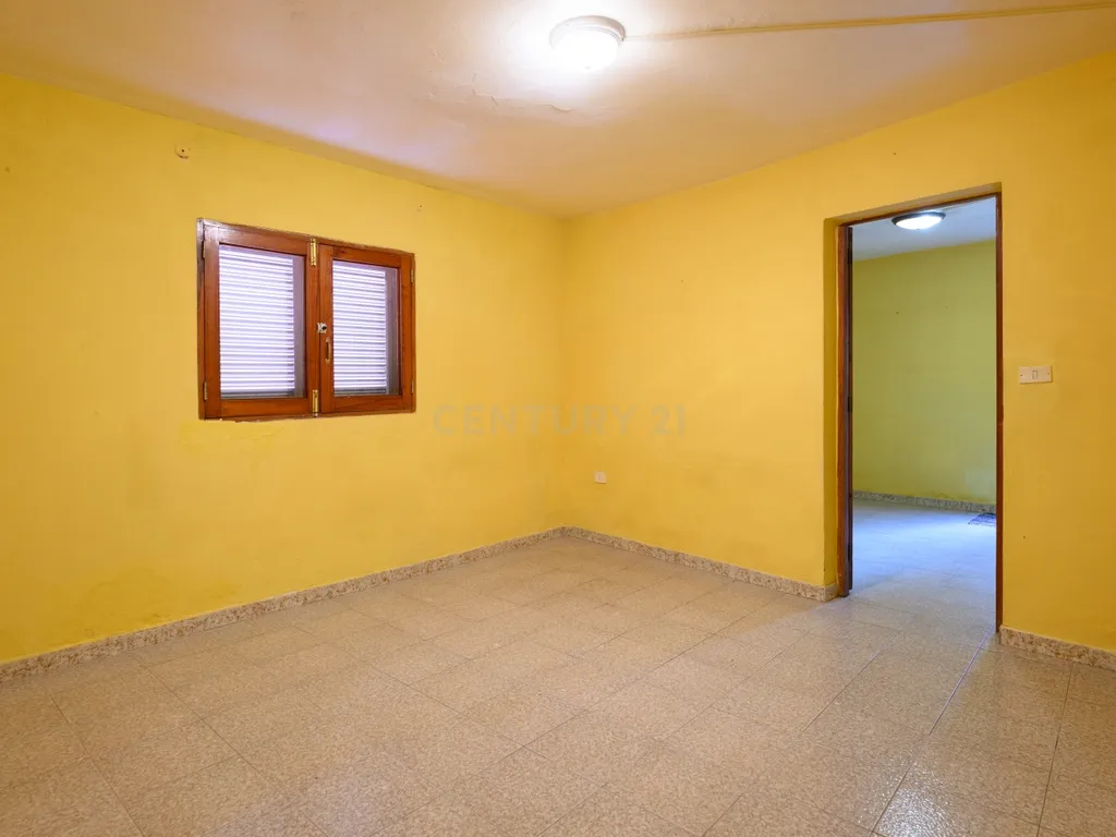 - Image 20
