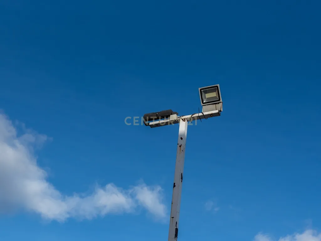 - Image 19