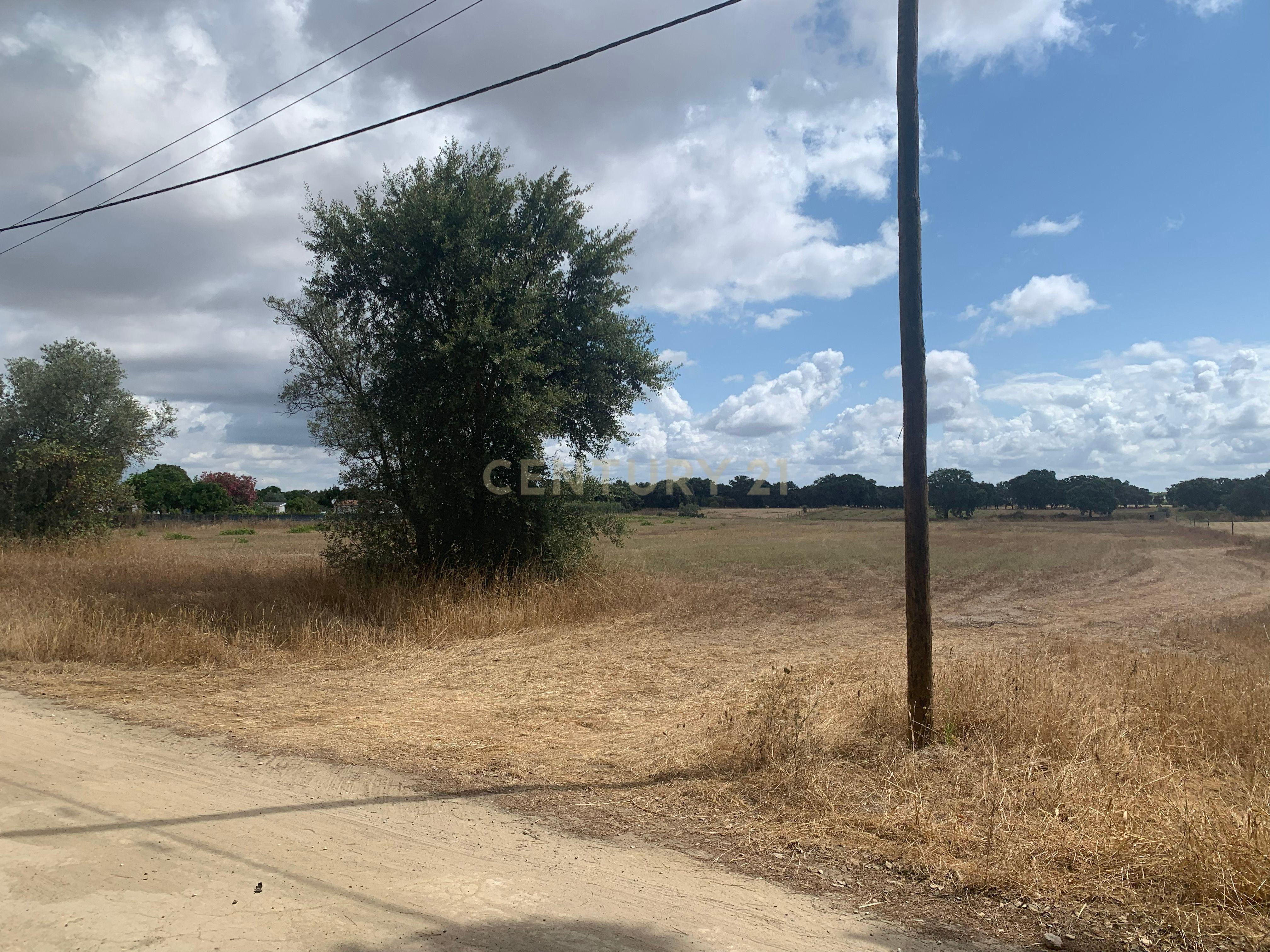 Fotografia 8 de Vende-se Imperdível Quinta no Pinhal Novo