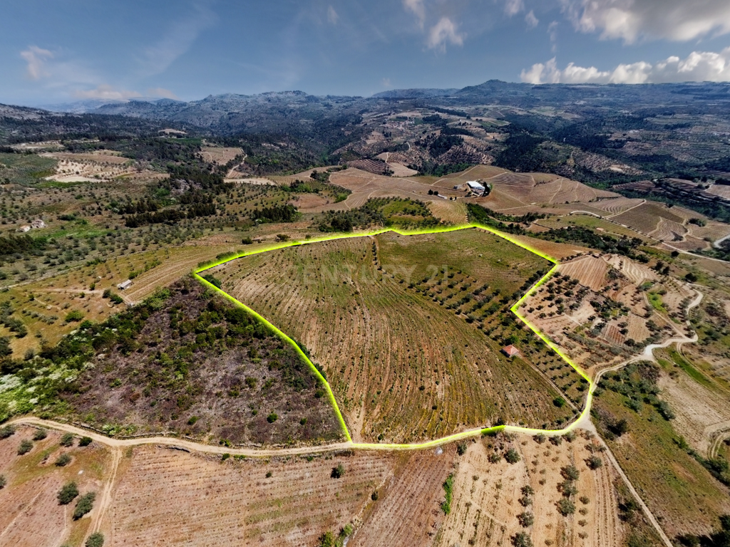 Terreno com 75230 m2 em Sendim - Tabuaço | Viseu - Image 4