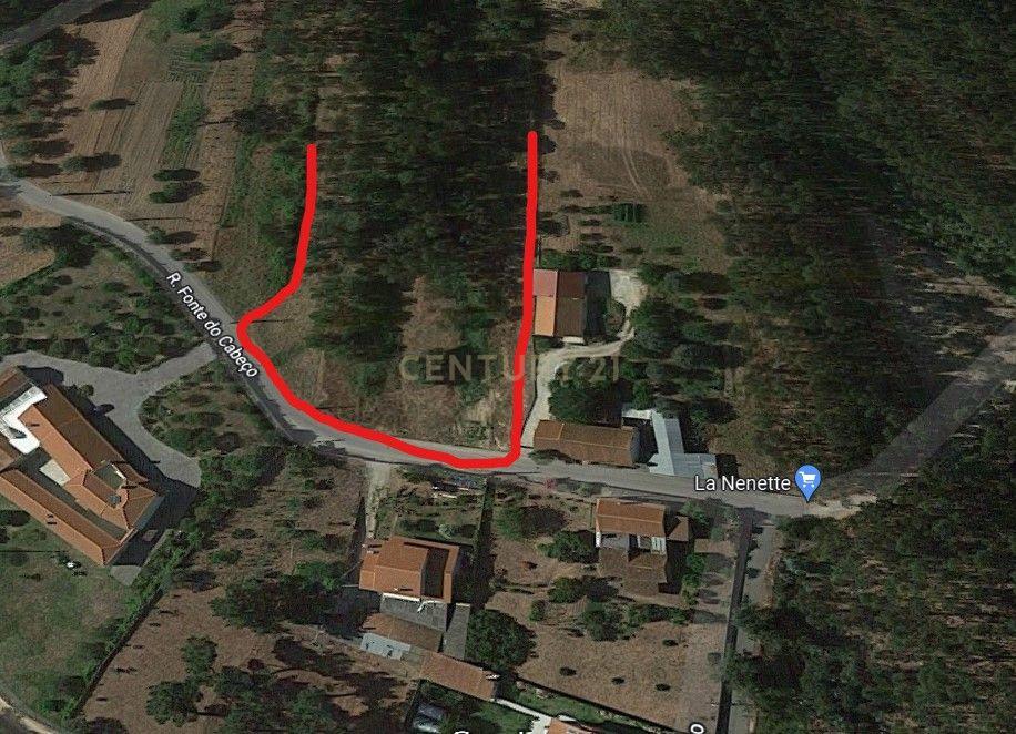 Longra I Caranguejeira I Leiria - Image 6