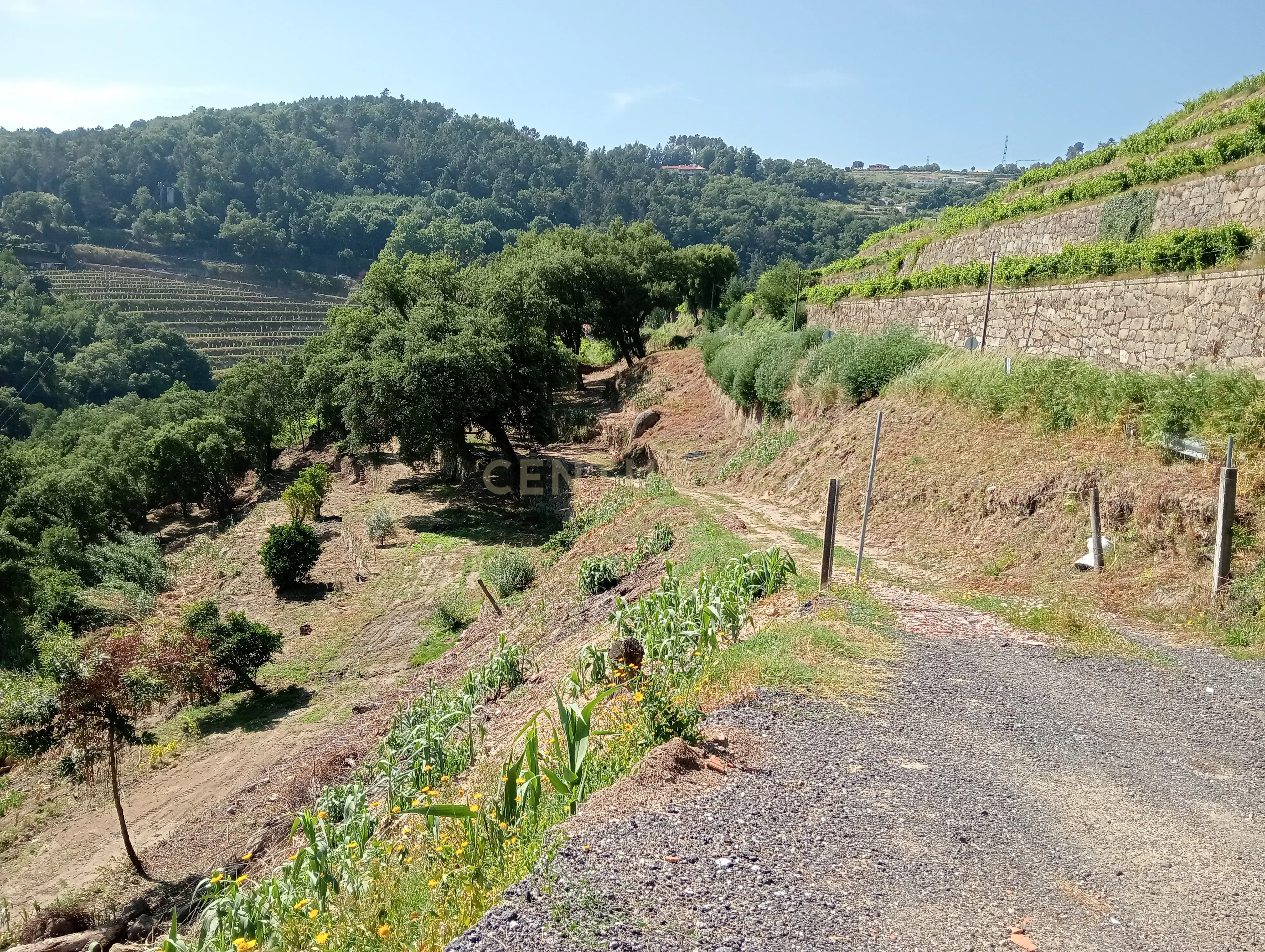 Moradia T2 à venda em Frende, Baião — foto 11