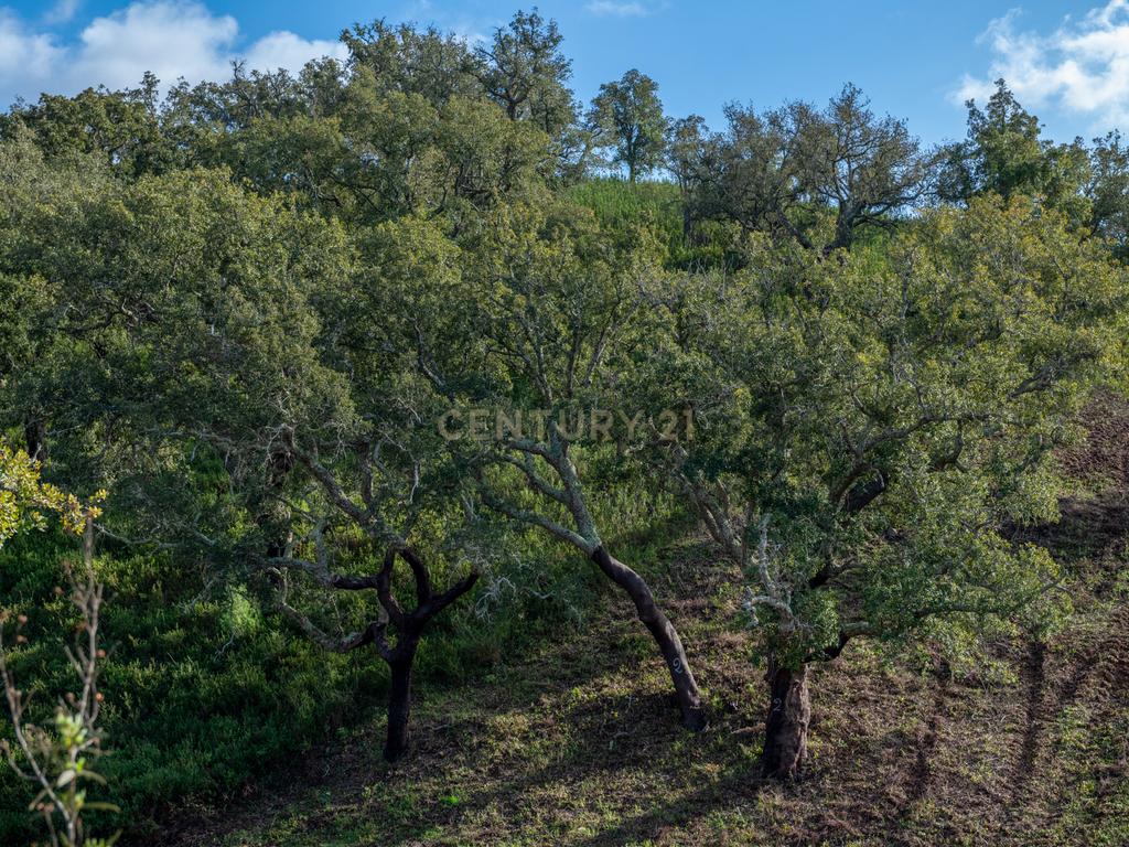 Terreno sito em S. Marcos da Serra, junto à IC1 e à A2 Lisboa/Algarve - Image 11