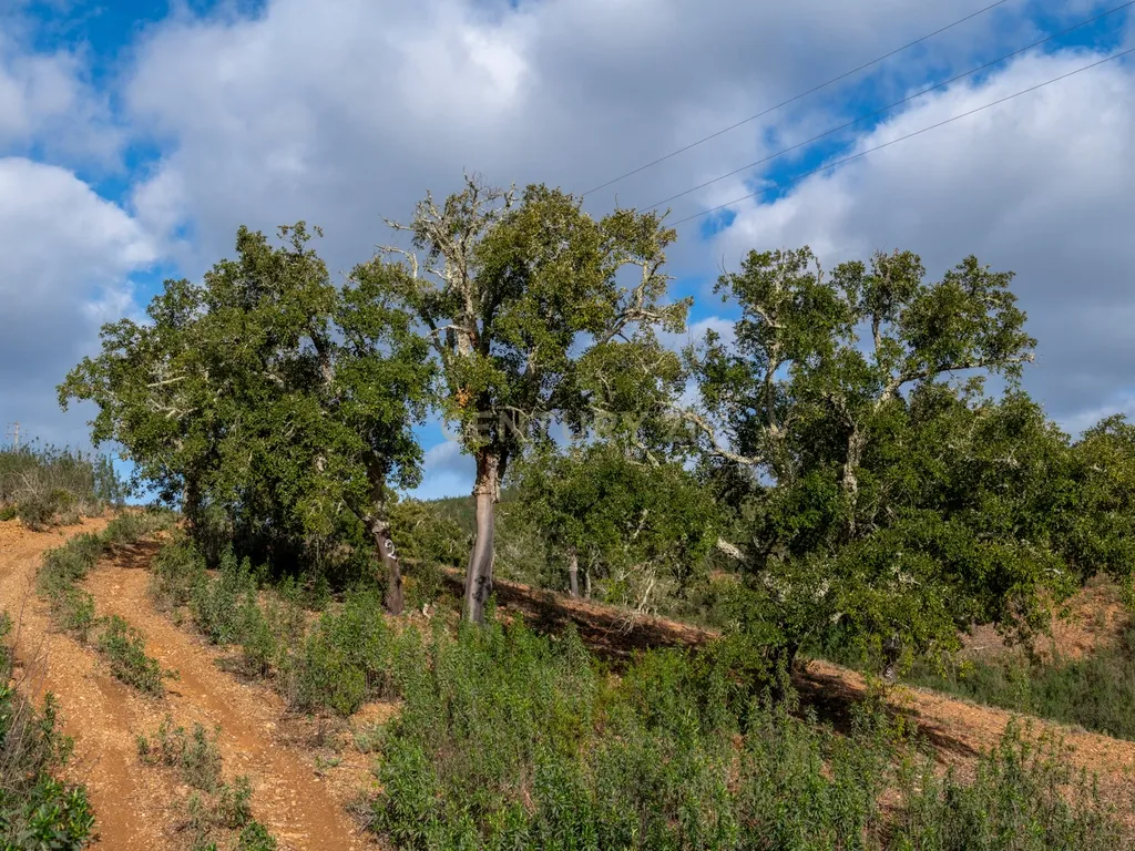 Terreno sito em S. Marcos da Serra, junto à IC1 e à A2 Lisboa/Algarve - Image 7
